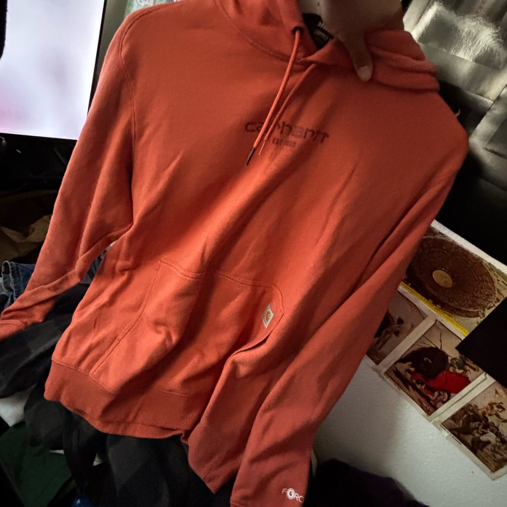 Carhartt Men's Rust Hoodie